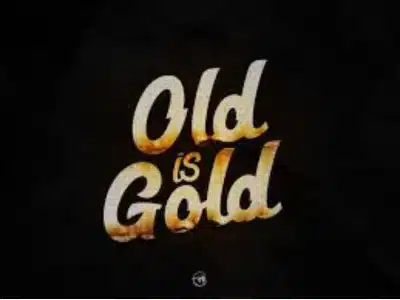 CapCut Old Version