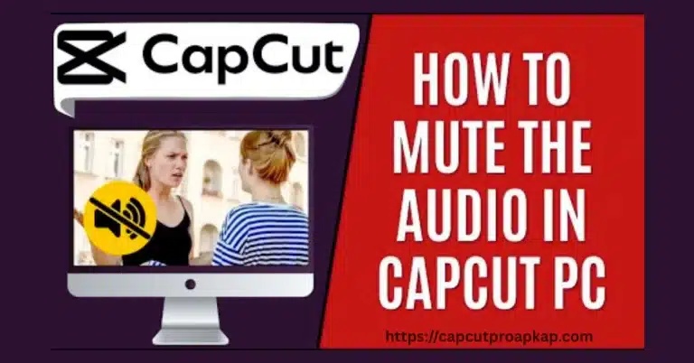 How To Set A Clip To Mute In CapCut