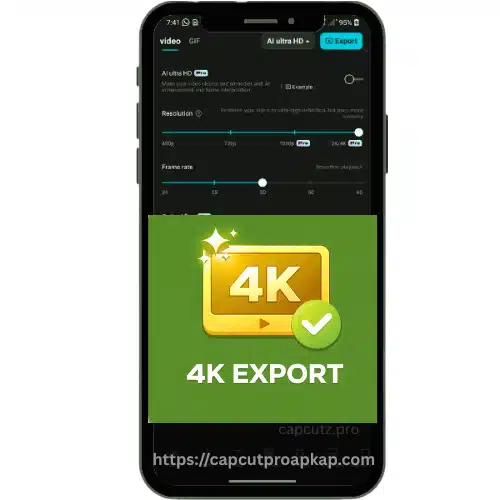 4K Video Export