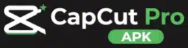 CapCut Pro APK